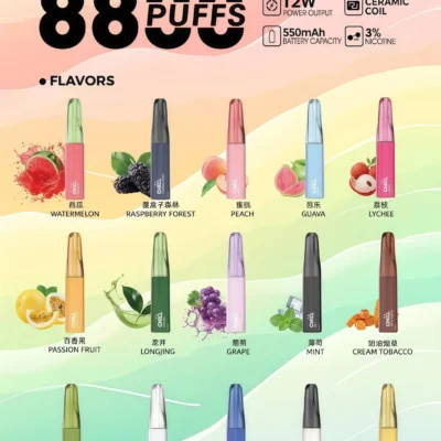 CHILL 8800口拋棄式電子煙｜始祖鳥大容量一次性煙桿 鴨嘴獸同款
